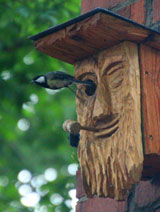 Campingplatz-Rabenstein