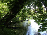 Natur-Oberrabenstein