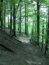 Wanderweg-Hoppberg-Rabenstein