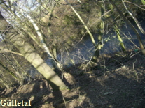 G�lletal
