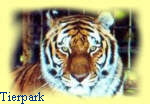 Tierpark