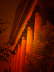 Portal Rot