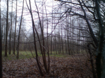 Wismutbahnhof Rabenstein heute Wald